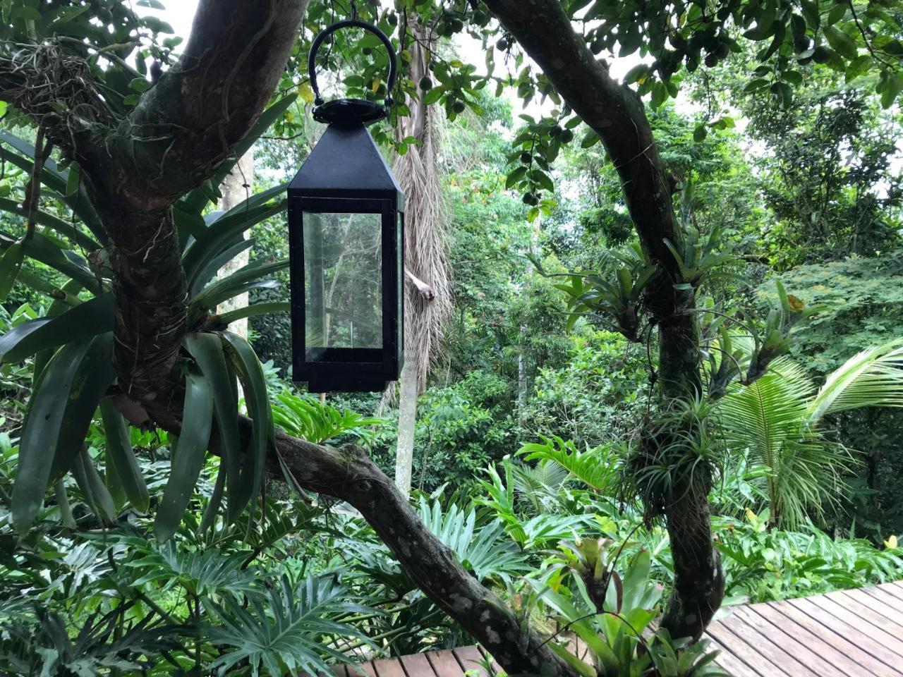Pousada Rainforest House - Ilha Grande Exteriör bild