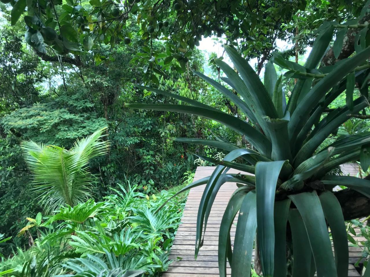Pousada Rainforest House - Ilha Grande Exteriör bild
