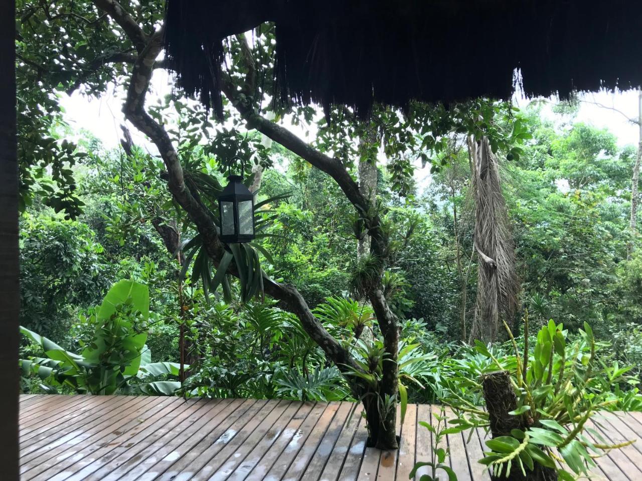 Pousada Rainforest House - Ilha Grande Exteriör bild